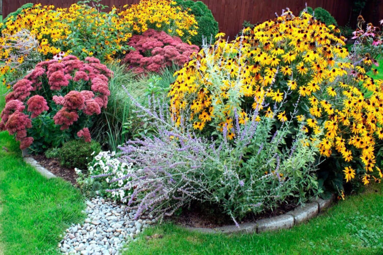 Rain gardens: Beautiful and functional
